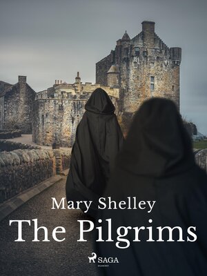 cover image of The Pilgrims